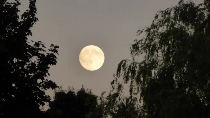 Supermoon Buck Moon Supermoon Buck Moon