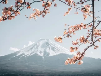 Tips Liburan Hemat Ke Jepang