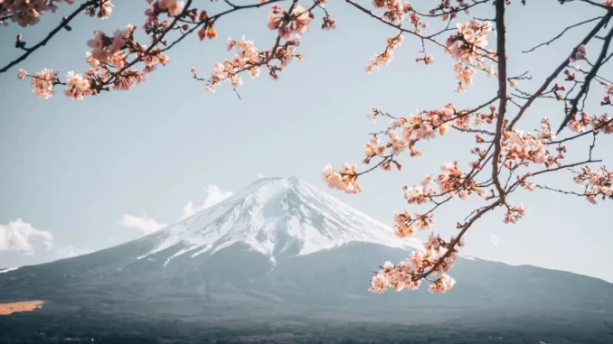 Tips Liburan Hemat Ke Jepang