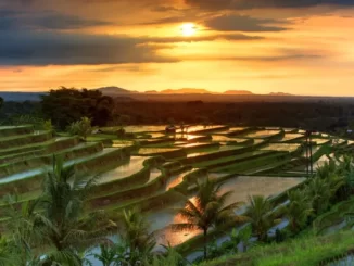 Wisata Filipina Ubud Bali