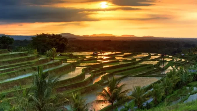Wisata Filipina Ubud Bali