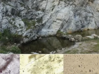 endapan mineral Himalaya