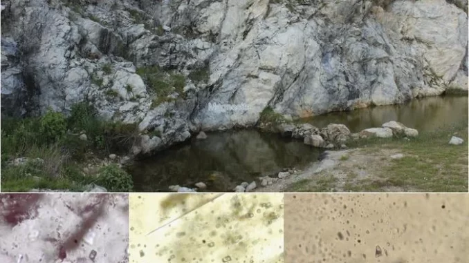 endapan mineral Himalaya endapan mineral Himalaya