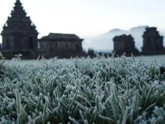 Candi Arjuna Dataran Tinggi Dieng