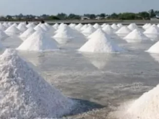El Nino Petani Garam
