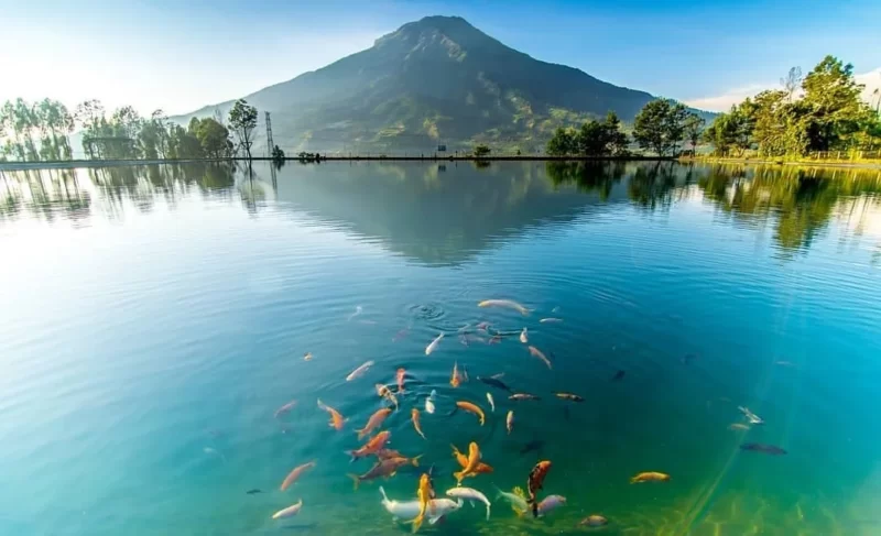 Wisata Sindoro Sumbing