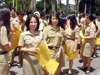 Honorer Fokus Seleksi Calon ASN