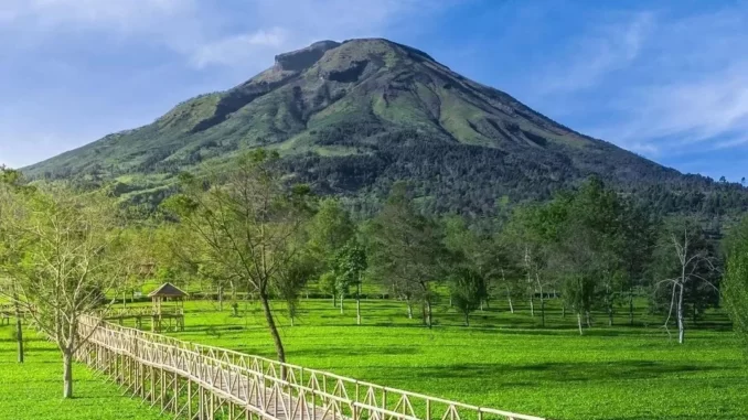 Wisata Sindoro Sumbing