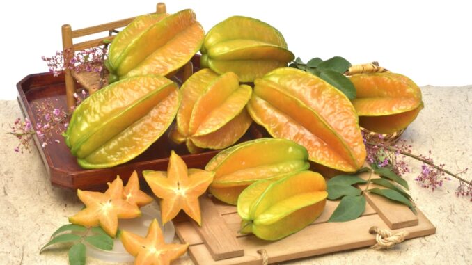 Manfaat Belimbing Madu Manfaat Belimbing Madu