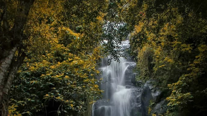 Curug Pitu