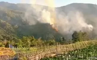 Kebakaran Gunung Lawu