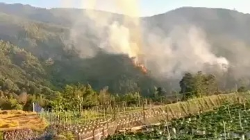 Kebakaran Gunung Lawu