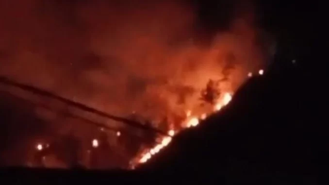 Kebakaran Hutan Gunung Sipandu