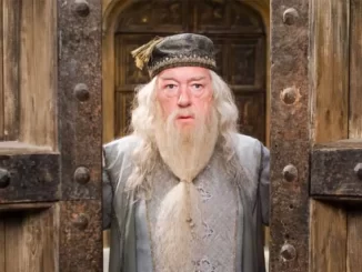 Michael Gambon Harry Potter