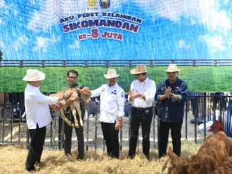 Produksi Ternak Nasional 1