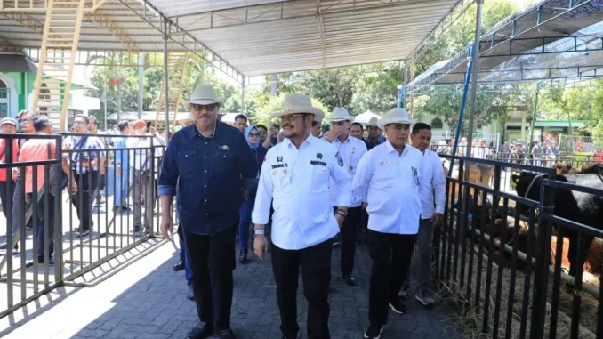 Produksi Ternak Nasional