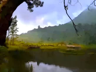 Telaga Mangunan Petungkriyono Pekalongan