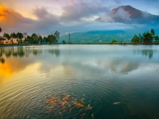 Wisata Alam Embung Kledung Temanggung