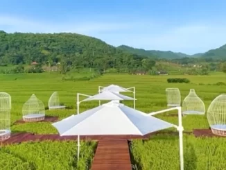 Wisata Menoreh Sky Bridge
