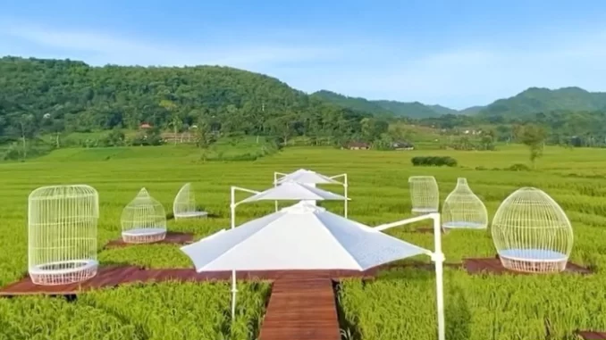 Wisata Menoreh Sky Bridge