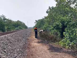 Bakar Sampah Jalur Rel
