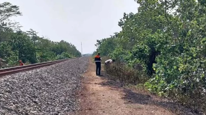 Bakar Sampah Jalur Rel