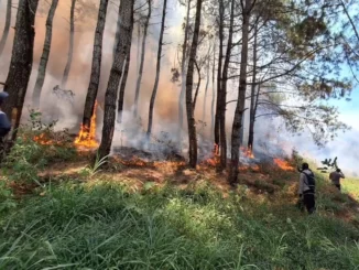 Darurat Kebakaran Gunung