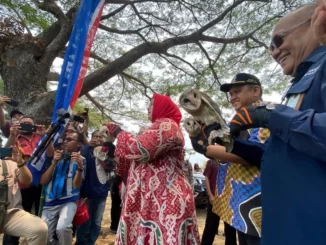 Jasamarga Solo Ngawi
