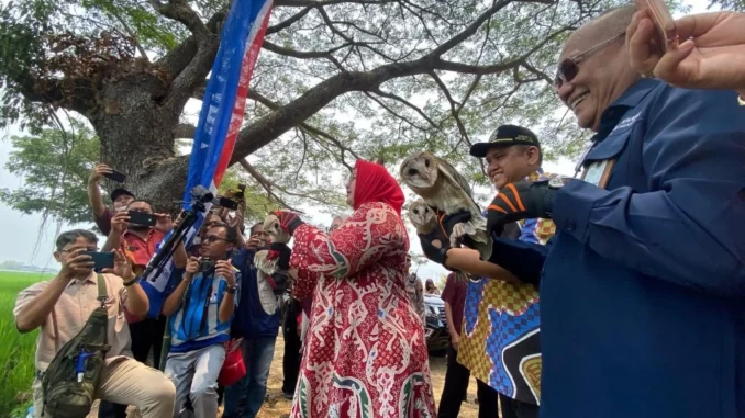 Jasamarga Solo Ngawi