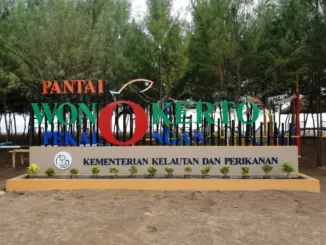 Pekalongan Wonokerto Pantai