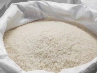 Stok Beras Bansos
