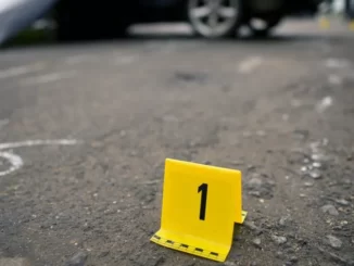 Investigasi Kecelakaan Bus