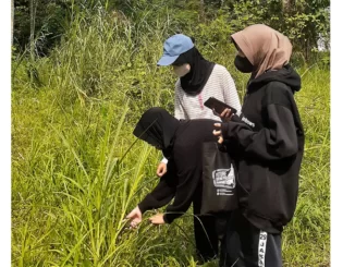 Antioksidan Rumput Gajah