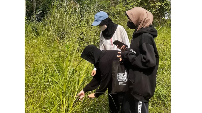 Antioksidan Rumput Gajah Antioksidan Rumput Gajah