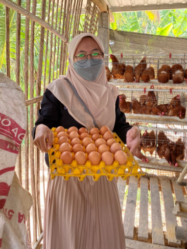 Ayama Petelur Desa Keteleng