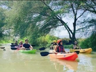 Kano Maritim Mangrove Baros yang berlokasi di Baros, Tirtohargo, Kretek, Bantul