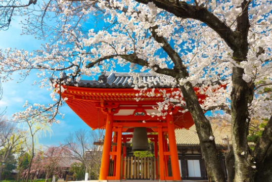 Japanese Temple