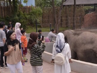 Wisata Edukasi Solo