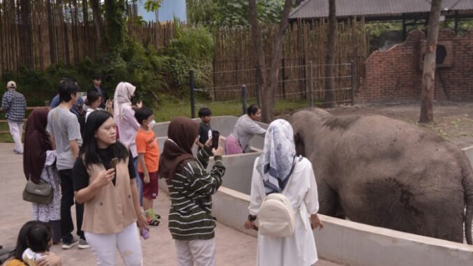 Wisata Edukasi Solo