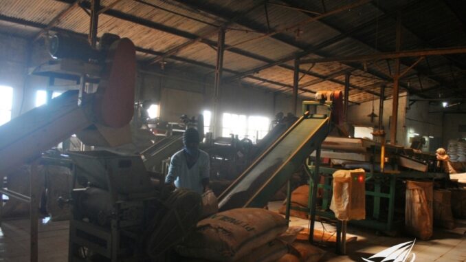 Perkebunan Teh Pagilaran di Desa Keteleng, Blado: Destinasi Wisata Agro Menarik di Jawa Tengah