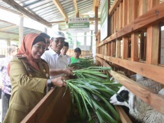 SMK Peternakan Lembah Hijau, Batang