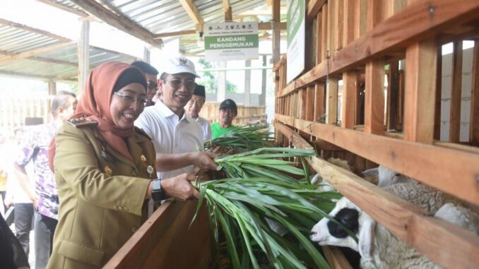 SMK Peternakan Lembah Hijau, Batang