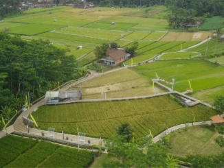 APAK Hapsari, yang terletak di wilayah Cabean, Kelurahan Mangunsari, Kecamatan Sidomukti, Kota Salatiga
