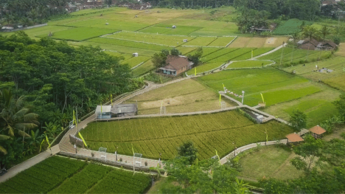 APAK Hapsari, yang terletak di wilayah Cabean, Kelurahan Mangunsari, Kecamatan Sidomukti, Kota Salatiga
