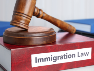 Ilustrasi Immigration Law