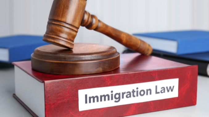 Ilustrasi Immigration Law