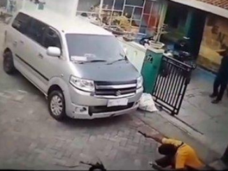Penembakan Kucing di Semarang
