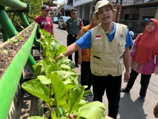 Pemkot) Semarang terus mengajak masyarakat melakukan pemanfaatan lahan tidur untuk pertanian perkotaan atau yang biasa disebut urban farming