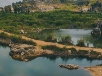 Pesona Danau Beko Margasari Keindahan Bekas Tambang di Tegal
