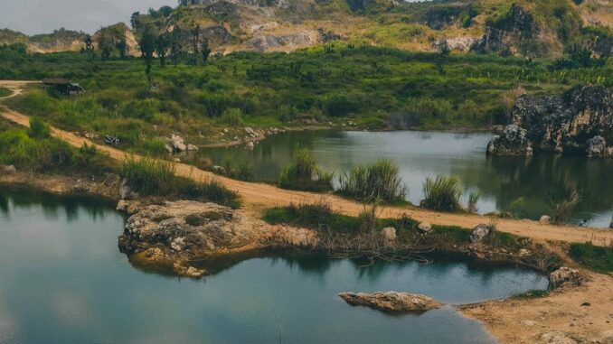 Pesona Danau Beko Margasari Keindahan Bekas Tambang di Tegal